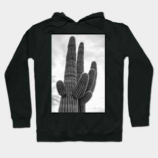 saguaro bw 2 Hoodie